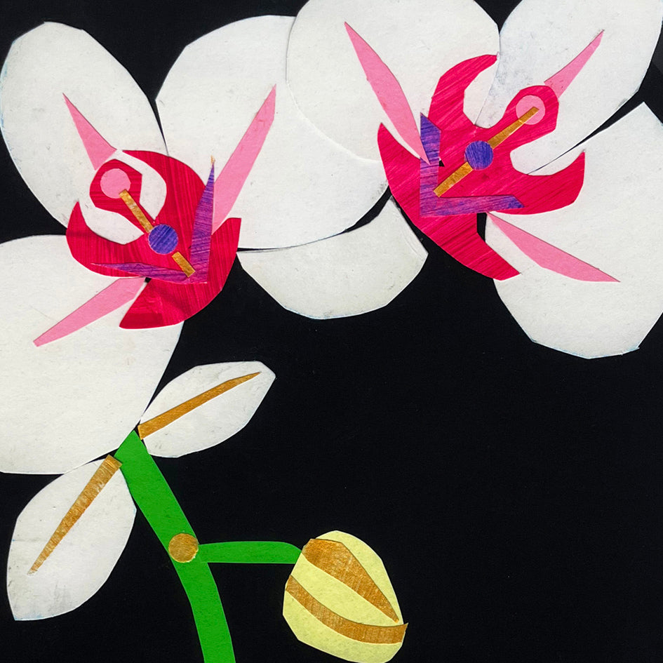 Orchid